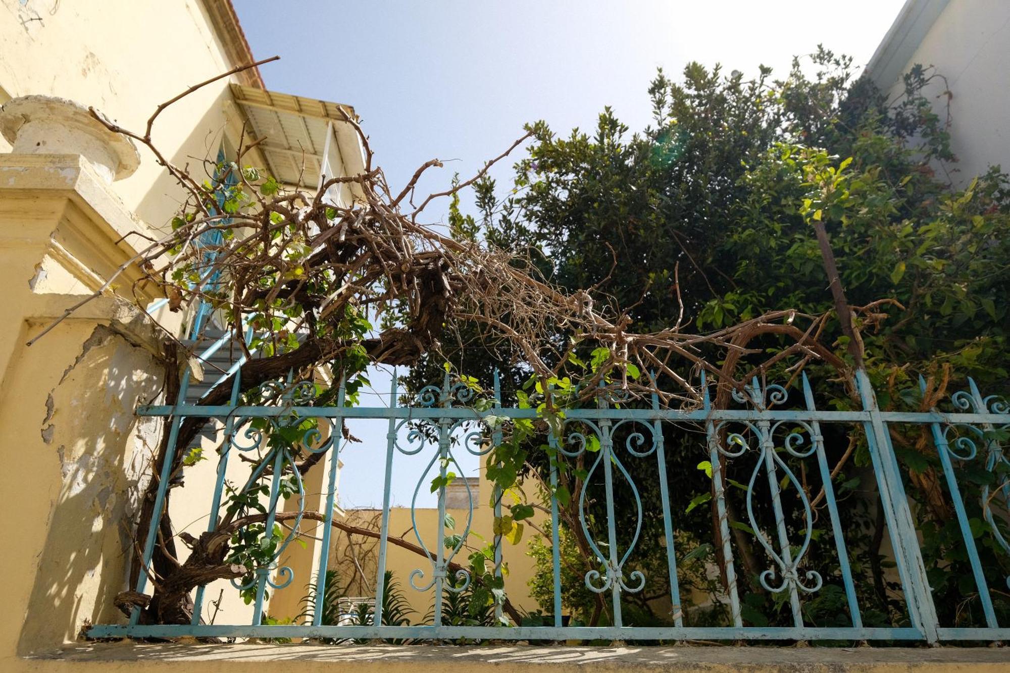 Rhodes CityArchontiko Patakaアパートメント エクステリア 写真